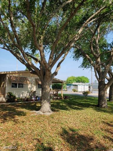 Main picture of 282 Painted Cup