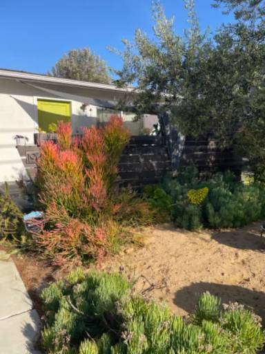 Main picture of 1920 Anaheim Ave