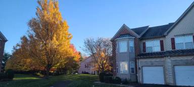 Main picture of 206 Summerhill Ct