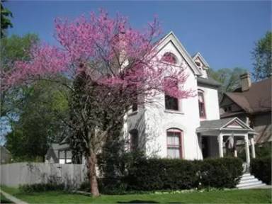 Main picture of 145 Campbell Pl NE
