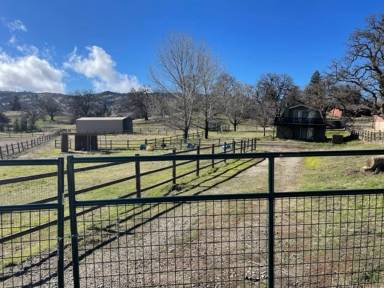 Main picture of 24441 Oaktree Ct