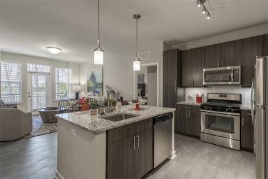 Main picture of The Vine