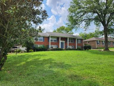Main picture of 206 Cumberland Hills Dr