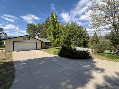 Main picture of Hangtree Ln