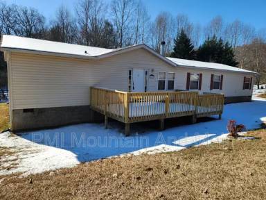 Main picture of 233 S Mills River Rd