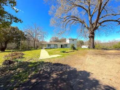 Main picture of 3105 Harmon Homestead Rd