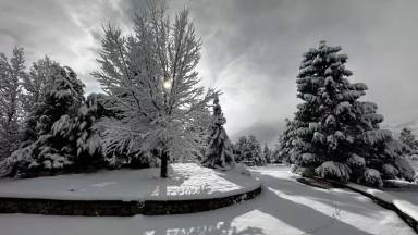 Main picture of 246 Sierra Shadows Ln