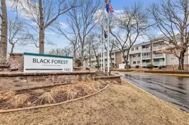 Main picture of Black Forest Condominiums