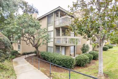 Main picture of 290 Sequoia Ct