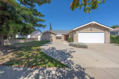 Main picture of 2025 Deodar St