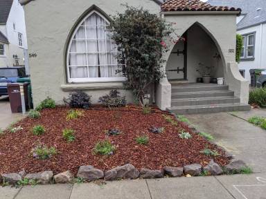 Main picture of Aileen Street House