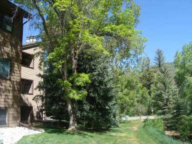 Main picture of 1050 W Beaver Creek Blvd