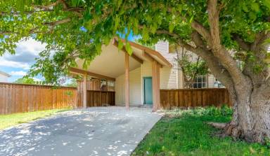 Main picture of 2026 Via Ballena