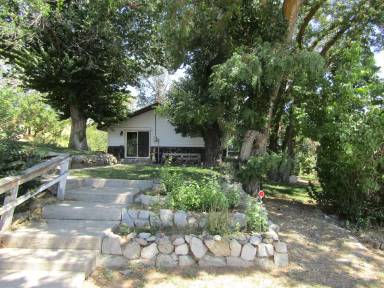 Main picture of 12096 E Highway 21