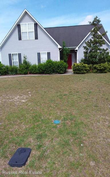 Main picture of 2453 Gray Goose Loop