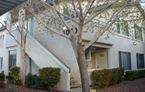Main picture of 3070 Tarpon Dr
