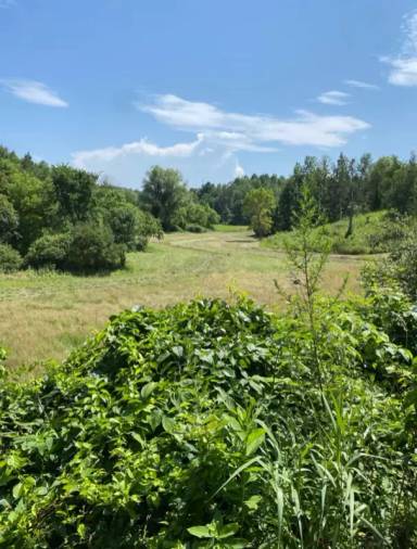 Main picture of 760 Vedder Mountain Rd