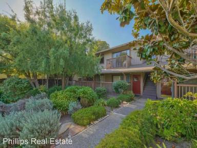 Main picture of 515 Ramona Ct