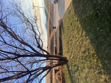 Main picture of 608 E Elgin St