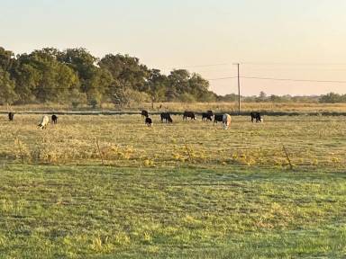Main picture of 5260 SW County Road 1140
