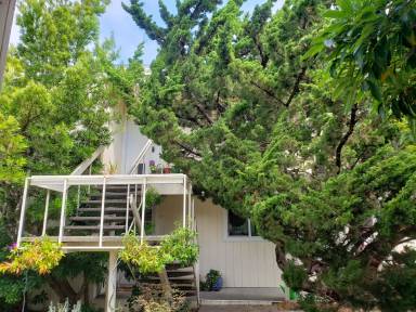 Main picture of 148 Buchanan Ct