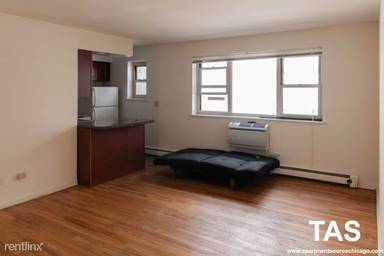 Main picture of 535 W Briar Apartments