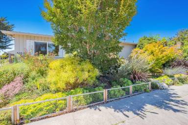 Main picture of 515 Cayuga St