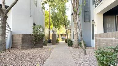 Main picture of 3rd Avenue Palms
