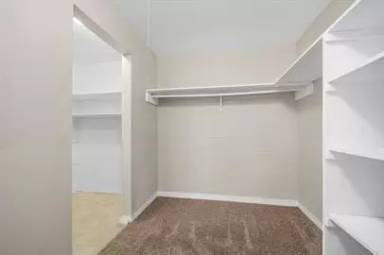 Main picture of Palm Court Apartments