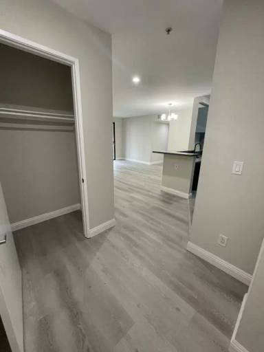 Main picture of Palmetto Trace Apartments