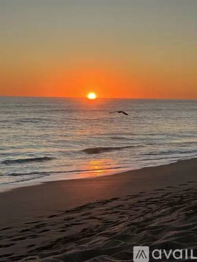 Main picture of 2355 NE Ocean Blvd