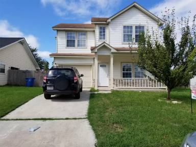 Main picture of 1803 Red Elm