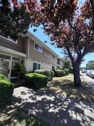 Main picture of 211 Easy St