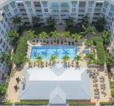 Main picture of CITY PALMS
