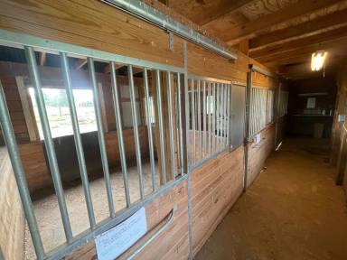 Main picture of 121 Fish Hatchery Rd