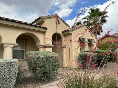Main picture of 11929 Kingfisher Daisy Ct