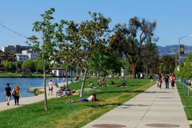 Main picture of The Montecito Apartments