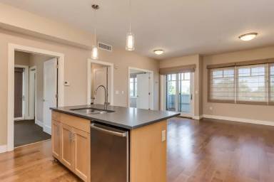 Main picture of 1988 S 1100 E