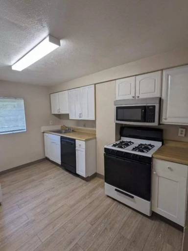 Main picture of 241 Reifert St