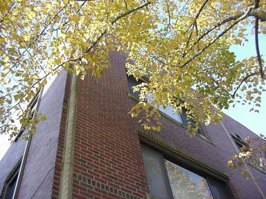Main picture of 515 14th Ave E
