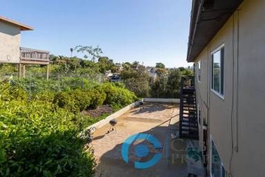 Main picture of 517 Pitta St