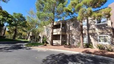 Main picture of Spanish Palms