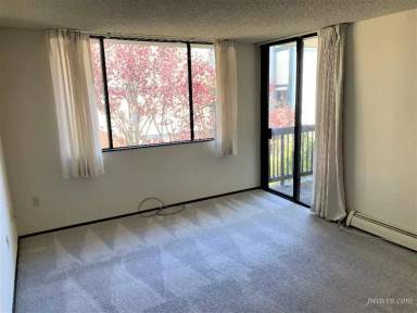 Main picture of 207 Webster St