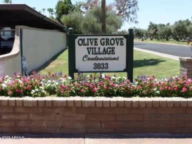 Main picture of Olive Grove Village
