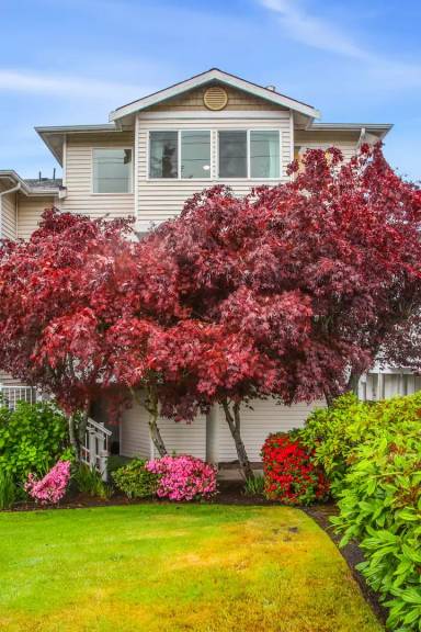 Main picture of 4133 156th St SW