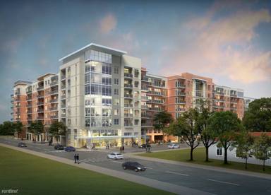 Main picture of Camden Rainey Street