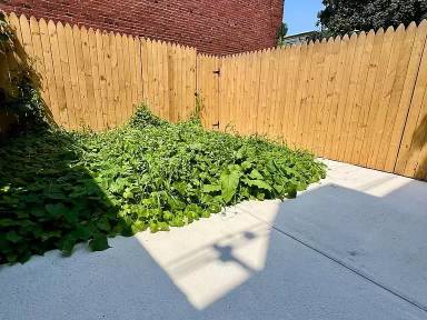 Main picture of 5748 N Beechwood St