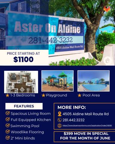 Main picture of Aster on Aldine
