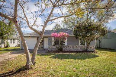 Main picture of 313 Evans St