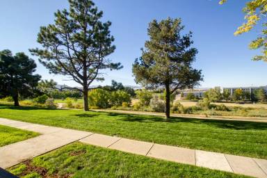 Main picture of 429 Wright St